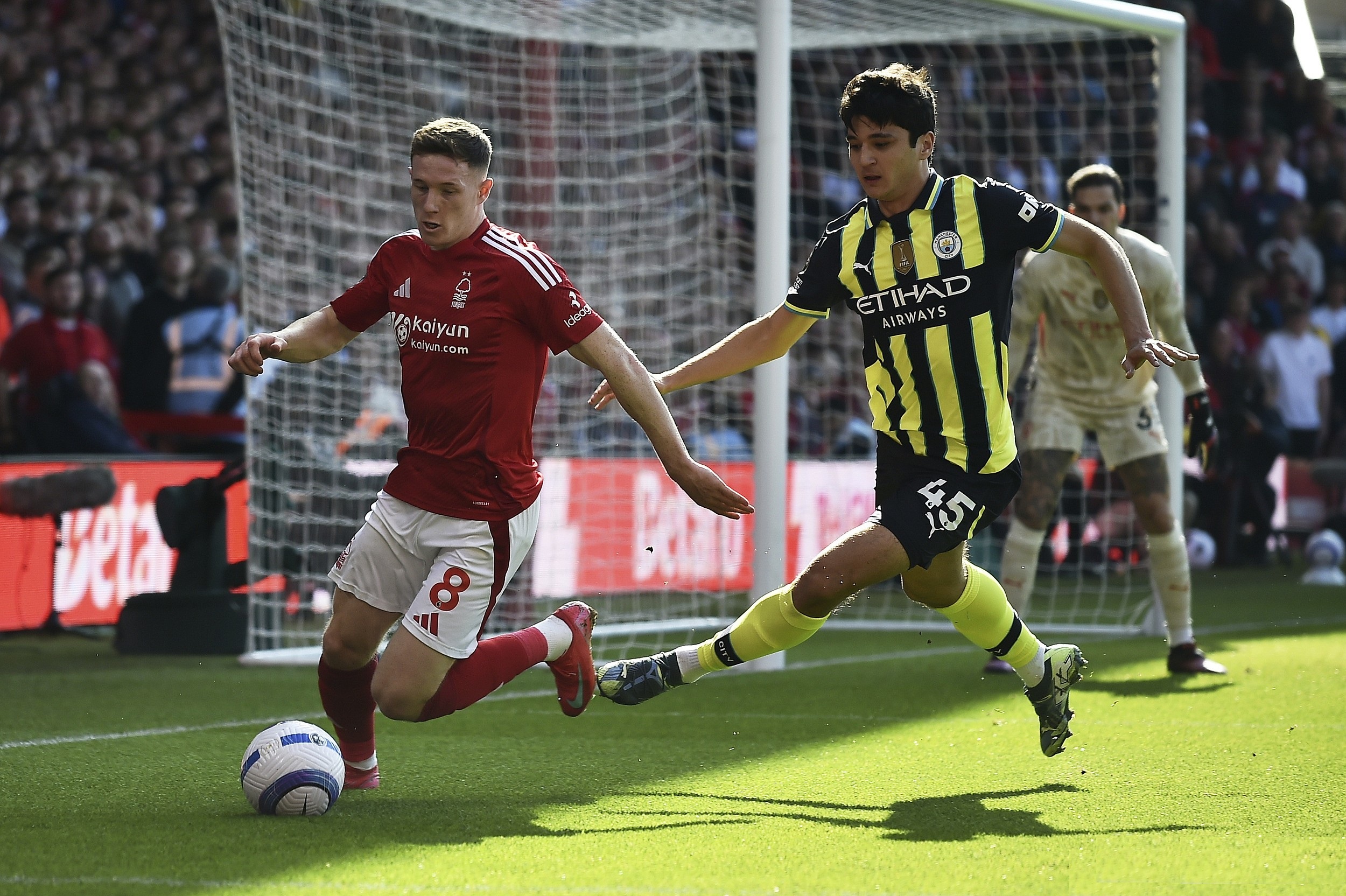 开元官方网站-二战最好75毫米野战炮