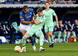 开元体最在线新网址-饥饿与恐惧2wiki